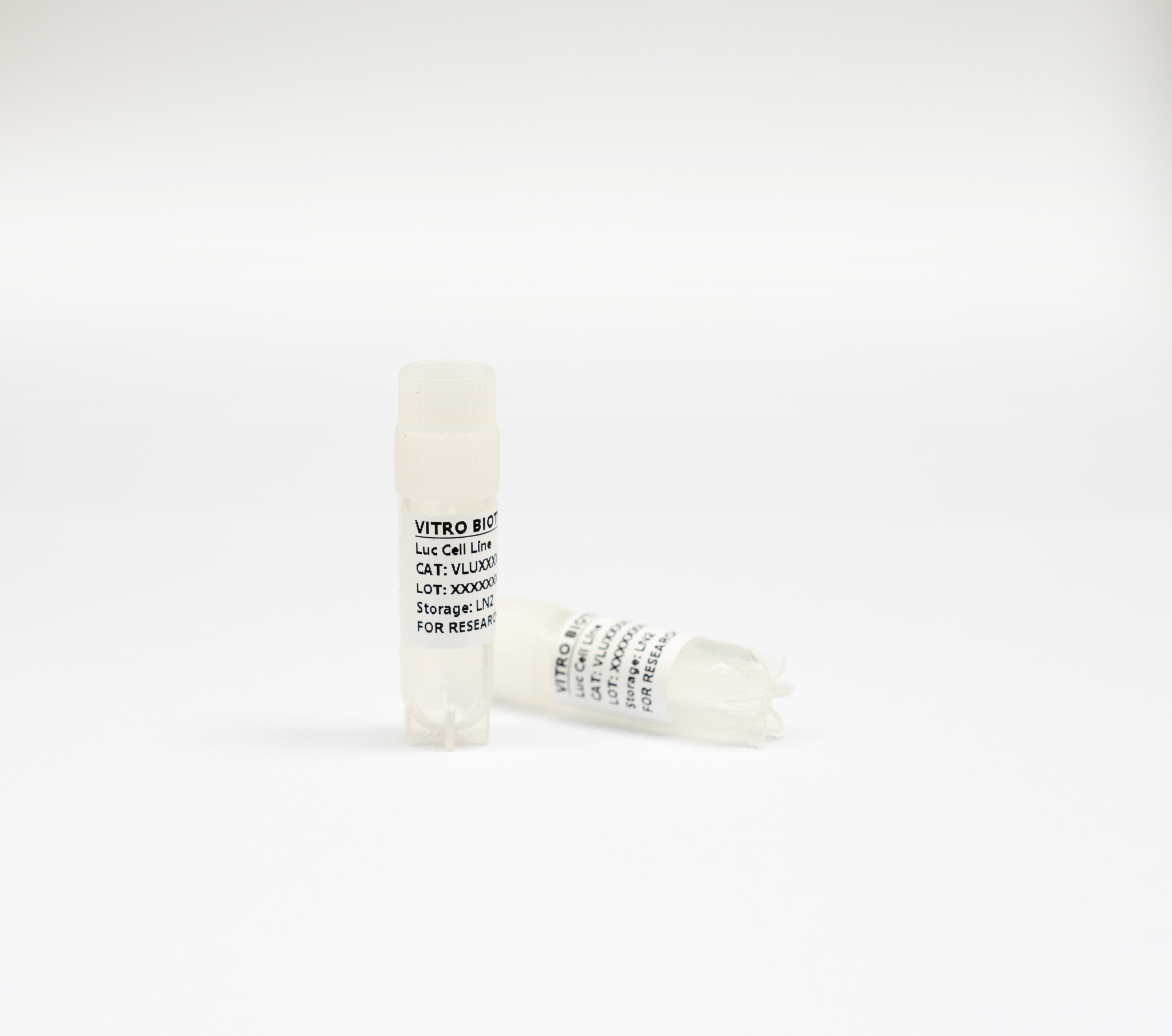 NCI-H508-Luc Cell line