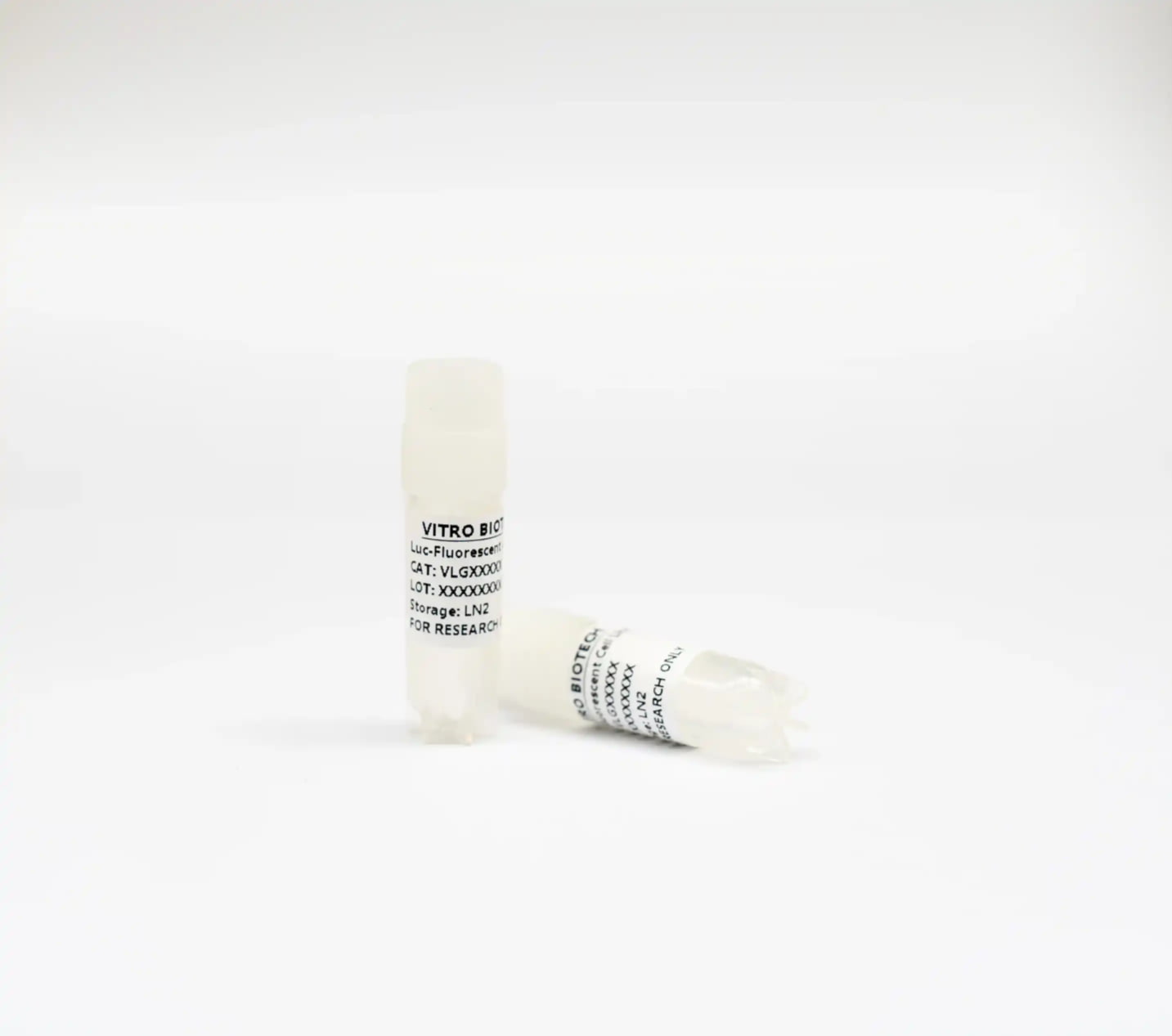 Neuro-2a-Luc-GFP