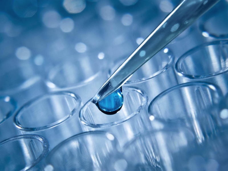 Breakthroughs in Biotechnology 6