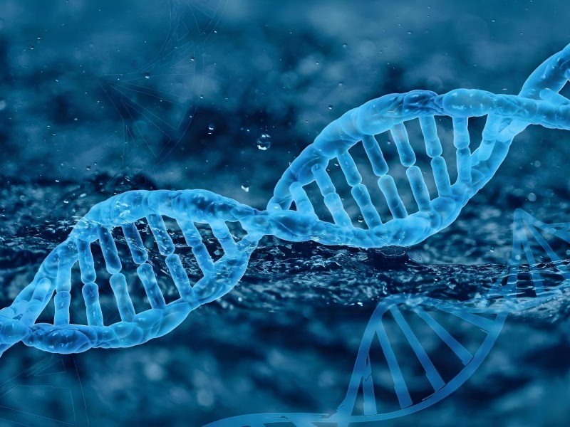 Breakthroughs in Biotechnology 8